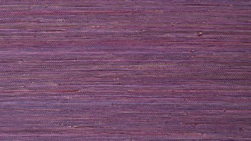 RAFFIA PALM T24064